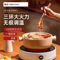 金正(NiNTAUS)电陶炉家用爆炒智能电磁炉多功能茶炉煮茶一体电焰炉圆形磁炉_复古绿烤盘