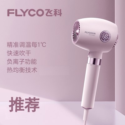 飞科(FLYCO)电吹风家用恒温速干吹风机大功率负离子大风力