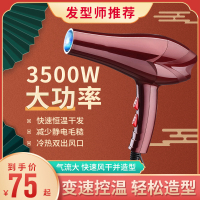 吹风机黄金蛋大功率3000w家用4000w理发店发廊专用6000超大5000