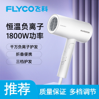 飞科(FLYCO)吹风机家用大功率发廊大风力电吹风发型师专用风筒
