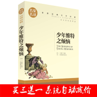 少年维特之烦恼 世界经典文学名著 名家名译