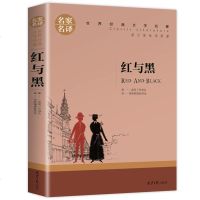 红与黑 书原著原版 名家名译 世界文学名著书籍 全套经典原著外国   书高中生中学生课外必读小说原版读物小学生正版