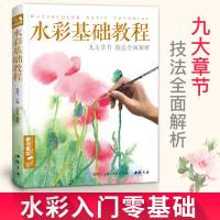 水彩基础教程入临摹零基础自学教材书籍风景美食花卉美术艺术S