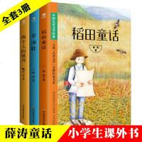 正版 薛涛童话书3册 旱冰鞋 稻田童话 两个人的银河 儿童文学小学生课外阅读五年级六年级四年级读 亲子读儿童课外读