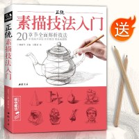 正统素描技法入 零基础自学教程书籍铅笔绘画画册临摹范本单体S