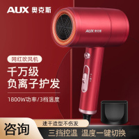 奥克斯(AUX)电吹风机负离子家用轻音速干大功率吹头发专用风筒