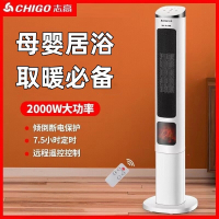 志高(CHIGO)取暖器家用浴室火焰立式暖风机婴儿洗澡语音电暖气卫生间