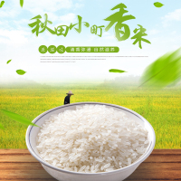 [扶余]寿司专用米秋田小町东北大米紫菜海苔包饭团材料10斤