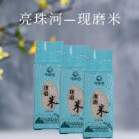 亮珠河新米2020年现磨米500g东北黑龙江延寿县亮珠河长粒香白米白香米