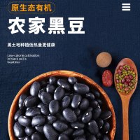亮珠河东北黑豆 900g农家自产五谷杂粮豆浆新青仁绿心黑小豆