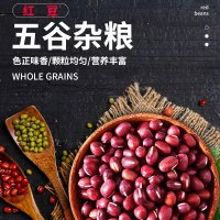 亮珠河东北红豆900g 农家自产大粒红小豆装五谷杂粮新货豆类赤小豆薏米汤