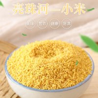 亮珠河2020年新米小米1000g 东北有机黄小米粥2斤特产糯农家食五谷杂粮食用米粗粮