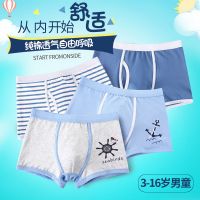 男童内裤纯棉平角裤 类儿童内裤男 3-16岁中大童男学生四角短裤