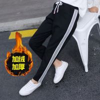 女童裤子秋冬装加绒保暖洋气百搭运动裤棉裤外穿男童宽松休闲裤潮