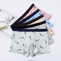 95%棉儿童内裤男童平角男孩胖中大童中学生青少年四角纯棉短裤