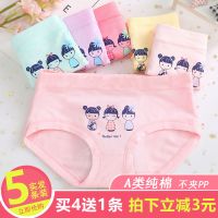 3/5条装女童内裤夏纯棉平角三角薄款中大童透气婴儿女孩宝宝儿童