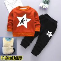 宝宝秋冬装加绒卫衣套装婴儿加厚羊羔绒外套小男女童衣服童潮装5