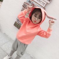 男女宝宝两件套儿童春秋套装2020秋装男童新款秋季洋气女童套装