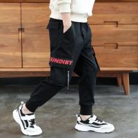 童裤男童裤子春秋休闲裤儿童工装裤长裤中大童韩版束脚裤