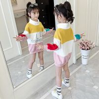 女童春秋款卫衣2020春秋女学生装卫衣韩版中大童宽松套头长袖上衣