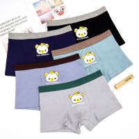 男大童内裤平角纯棉中大童儿童男童小孩小学生初中生男孩13岁15岁