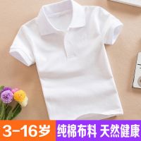 儿童纯棉短袖白色翻领恤校服中小学生园服上衣夏装男童女童班服D0