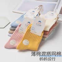 儿童袜子纯棉春秋薄款男童女童糖果色网棉袜男孩中筒学生袜