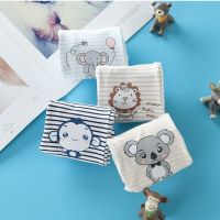 [精梳棉 3条装]儿童纯棉内裤男童平角裤男孩小童中大童四角短裤