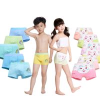 [正品优质棉三条装]儿童内裤女男童内裤小中大童平角3女童内裤