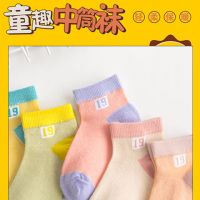 5双夏季薄款袜网眼儿童袜子男女童棉短袜春秋中筒袜