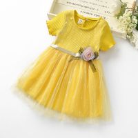 夏装女童新款儿童连衣裙短袖韩版网纱公主裙宝宝秋装女孩洋气裙子