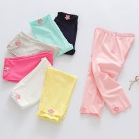 儿童短裤女童五分裤夏薄款外穿七分裤打底裤夏季宝宝中裤短裤裤子