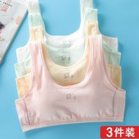 [3件装]女童发育期内衣小背心纯棉女孩初中小学生大童少女背心Y6