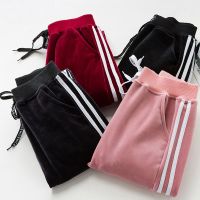 [单层/双面绒/加棉]男女童装裤子春秋冬加绒加厚运动裤儿童休闲