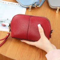 女士包青年手拿贝壳包夏季单肩斜挎手机包两用链条包荔枝纹零钱包