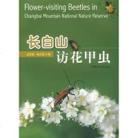 [新华书店]正版 长白山访花甲虫孟庆繁中国林业出版社9787503853296 书籍