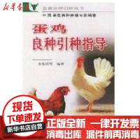 [新华书店]正版 蛋鸡良种引种指导金光钧9787508225609金盾出版社 书籍