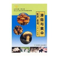 [新华书店]正版 滑菇与 伞生产全 王立安9787109128323中国农业出版社 书籍