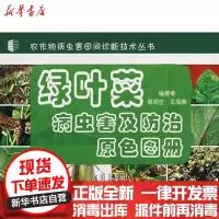 [新华书店]正版 绿叶菜病虫害及防治原色图册商鸿生9787508246581金盾出版社 书籍
