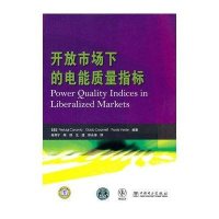 【新华书店】正版 开放市场下的电能质量指标拉卡米亚9787512315129中国电力出版社 书籍