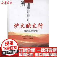 [新华书店]正版 炉火映太行:寻踪红色长钢刘潞生9787502456023冶金工业出版社 书籍