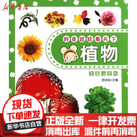 [新华书店]正版 好奇娃娃看天下系列?好奇娃娃看天下---植物田站省9787545505016天地出版社 书籍