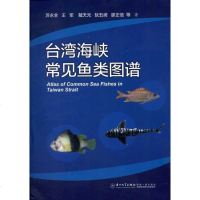 [新华书店]正版 台湾海峡常见鱼类图谱苏永全厦门大学出版社9787561537886 书籍