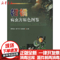 [新华书店]正版 柑橘病虫害原色图鉴蔡明段农村读物出版社9787109160309 书籍