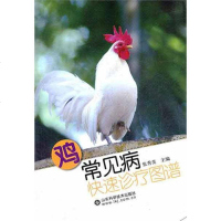 [新华书店]正版 鸡常见病快速诊疗图谱张秀美9787533158118山东科学技术出版社 书籍