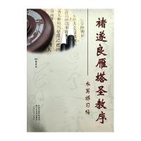 [新华书店]正版 诸遂良雁塔圣教序水写练习帖魏文源9787534434211江苏美术出版社 书籍