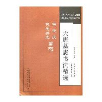 [新华书店]正版 韦承庆 执失善光墓志 大唐墓志书法精选何炳武9787510036750世界图书出版公司 书籍