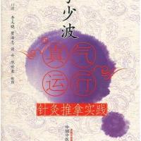 【新华书店】正版 李少波真气运行针灸推拿实践李少波中国中医药出版社9787513208635 书籍