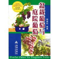 [新华书店]正版 盆栽葡萄与庭院葡萄称盛臣9787800227493金盾出版社 书籍