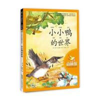 【新华书店】正版 大自然科普童话绘本?小小鸭的世界比安基9787533672898安徽教育出版社 书籍